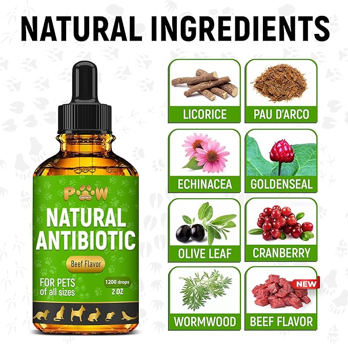 Antibiotics for Dogs | Antibiotics for Cats | Herbal Supplement for Digestion, Breathing, Urination | for Infections, Cough, Allergies | Beef Flavor & Cranberry | for All Pet Breeds | 2 Oz