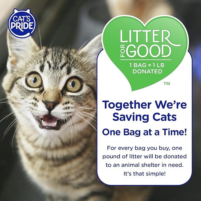 Cat's Pride New Antibacterial Cat Litter: Destroys 99.9% of Odor-Causing Bacteria - Powerful Odor Control - Premium Lightweight Clumping Litter - Scented, 18 Pounds
