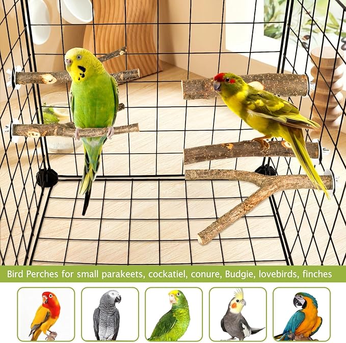 Natural Wood Bird Perches for Cage, Parrot Perch Stand & Platform, Bird Cage Accessories for Parakeets, Cockatiels, Conures, Lovebirds (Brown, Essential Perch Bundle - 5PCS)