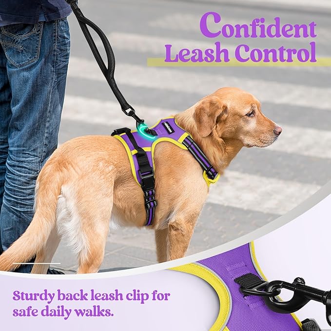 rabbitgoo Dog Harness No Pull with 2 Leash Clips, Adjustable Soft Padded, Reflective Oxford No Choke Pet Vest with Easy Control Handle for Large Dogs, Purple & Yellow, XL