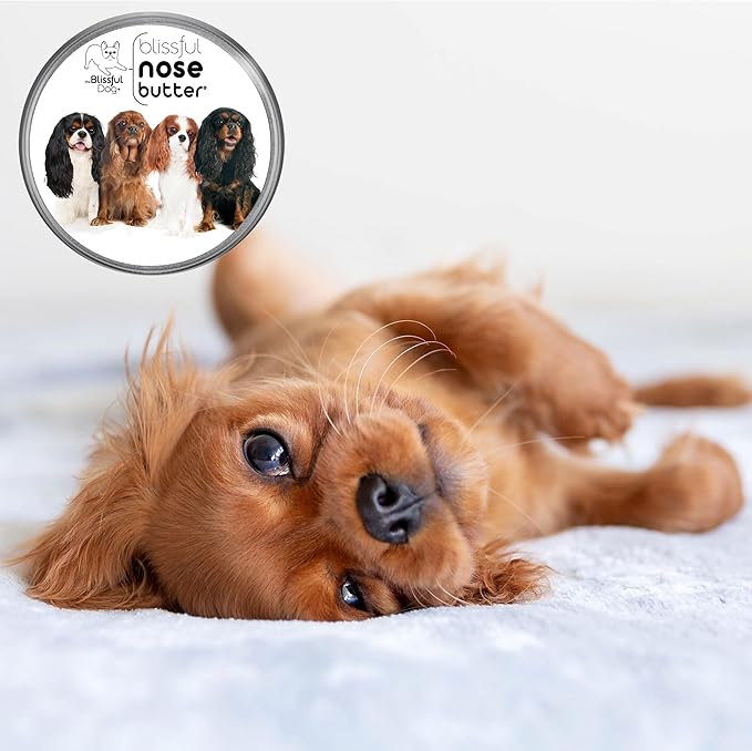 The Blissful Dog Cavalier King Charles Spaniel Unscented Nose Butter - Dog Nose Butter, 4 Ounce