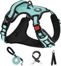 NESTROAD No Pull Dog Harness,Adjustable Oxford Dog Vest Harness with Leash,Reflective No-Choke Pet Harness with Easy Control Soft Handle for Large Dogs(X-Large,Turquoise)