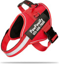 PawPawify Custom No Pull Dog Harness with Name and Phone Number, Heavy Duty Personalized Pet Vest to Prevent Tugging, Pulling, or Choking, Training and Walking (New Red, XXL (85-140 LBS))