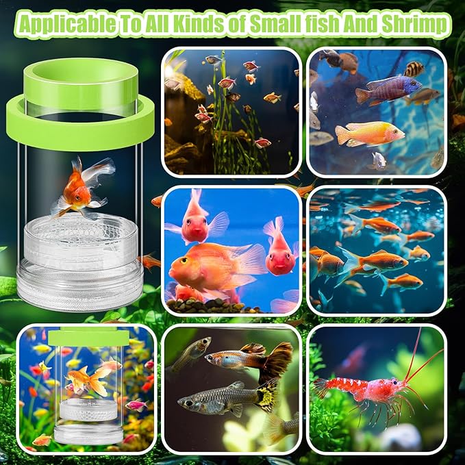 2 Pcs Breeder Box for Fish Tank Aquarium Breeder Separation Net Breeding Box with Suction Cup for Small Fish Shrimp Clownfish Guppy(Green,L)