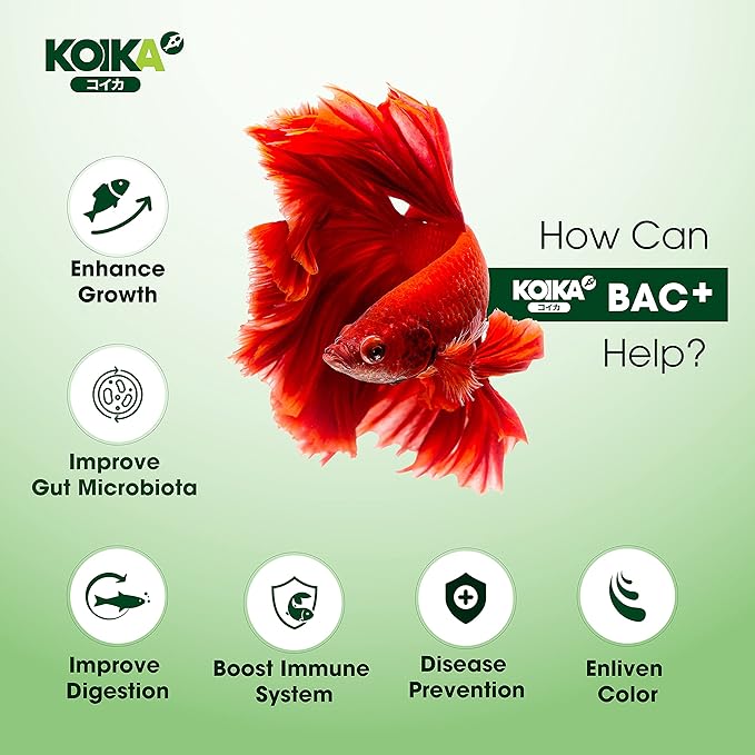 KOIKA BAC+ Aquarium Probiotics, Immunity Boosting, Disease Resistance & Improve The Digestive System (BAC+,105ml)