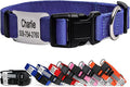 GoTags Personalized Dog Collar with Nameplate, Adjustable Dog Collar with Custom Engraved Slide On Pet ID Tag in Stainless Steel, Silent, No Noise Dog Tag (Lavender, X-Small)