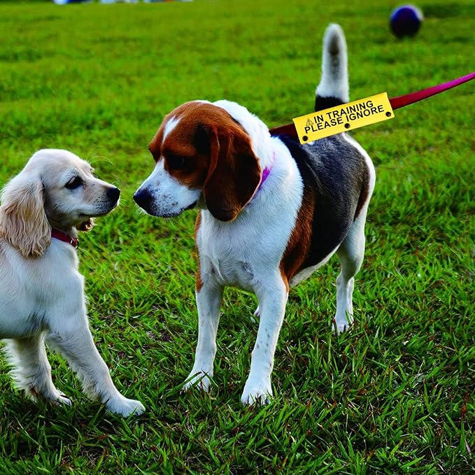 Funny Dog Leash Sleeve in Training Please Ignore Dog Leash Wrap Sleeve Alert Tag Pet Birthday Gift (Training Please Ignore-YE Sleeve)
