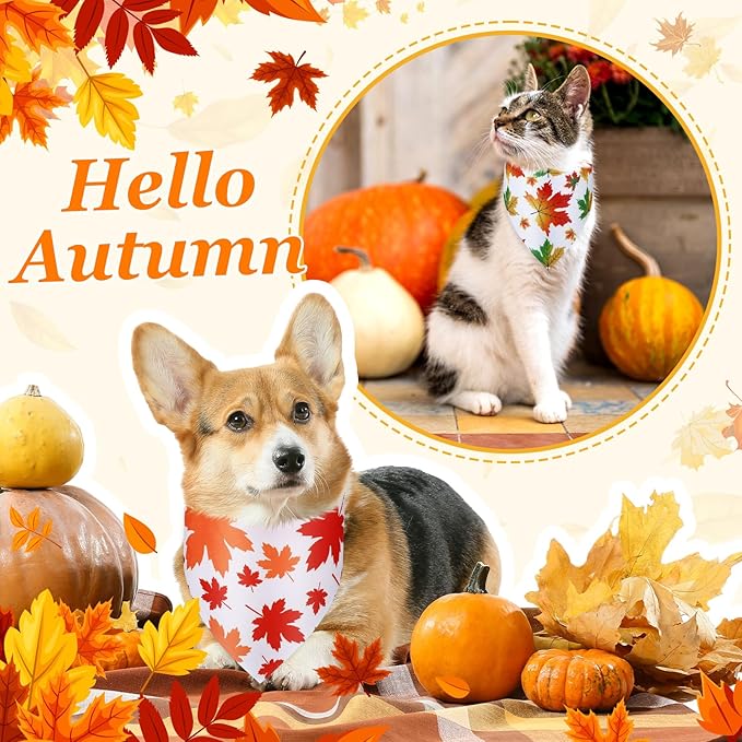 Chunful 100 Pieces Fall Dog Bandanas Bulk Autumn Pet Bandanas with Leaves Patterns Triangle Scarf Bib Kerchief Set for Small Large Dog Thanksgiving Costume Accessories (25.6 x 17.7 x 17.7)