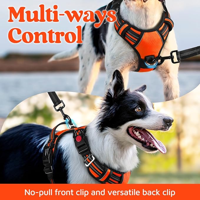 rabbitgoo Dog Harness Small Sized, No Pull Dog Vest with 3 Buckles, Adjustable Soft Padded Pet Harness with Easy Control Handle and Reflective Strips, Orange, S