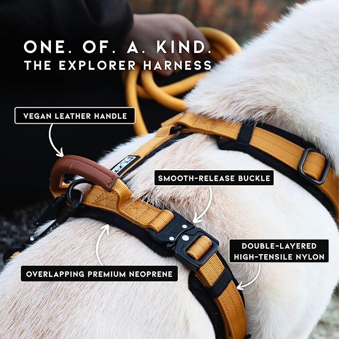 MADE TO ROAM Premium Explorer Harness - Y-Shaped Dog Harness with Adjustable Durable Nylon, Soft Padding, Metal Buckles and Leather Handle for Small, Medium, Large Dogs (Washington Rain, Size 2)