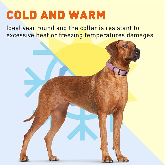 Dogline Biothane Waterproof Dog Collar Strong Coated Nylon Webbing with Black Hardware Odor- Proof for Easy Care Easy to Clean High Performance Fits Small Medium or Large Dogs, Pastel Purple