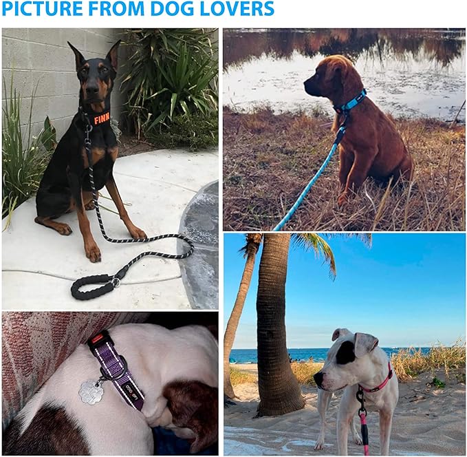Heavy Duty Dog Leash - Comfortable Padded Handle, 5 ft Long - Dog Leashes for Small Medium Large Dogs (Leash+Collar XS Neck 10.5"-13.5", Purple)
