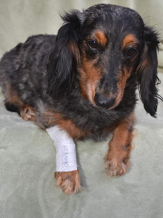 Protective Sleeve Tubular Cover - Bandages - for Dogs Cats and Other Pets First Aid Wound Care Comfortable Non-Adhesive Breathable & Water Resistant 18 Strips (yields 36-54 Covers)-(Medium)