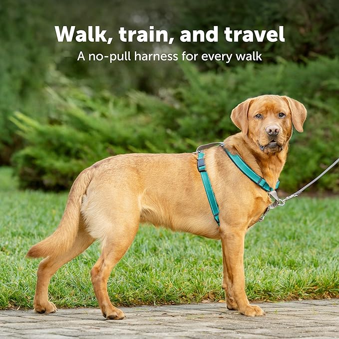 PetSafe 3 in 1 Dog Harness - No Pull Solution for Dogs - Reflective Dog Harness - Front D-Ring Clip Helps Stop Pulling - Comfortable Padded Straps - Top Handle Enhances Control - Plum - Large