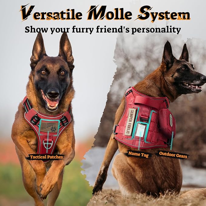 rabbitgoo Dog Harness for Large Dogs No Pull, Tactical Service Pet Vest with Molle and Control Handle, Adjustable and Reflective Military Harness for Easy Walking and Training, Red, XL