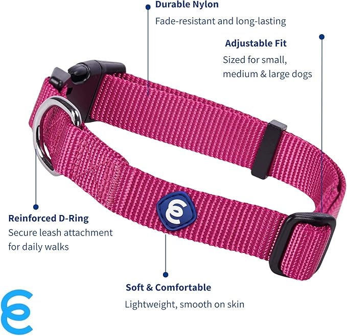 Blueberry Pet Essentials Small Dog Collar in Very Berry | Adjustable & Eco-Friendly Durable Nylon Strap | Classic Collar for Small Dogs, Boy & Girl Pets