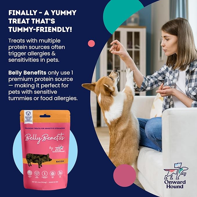 Training Treats for Dogs - Soft Bacon - Low Calorie Dog Training Treats for Sensitive Stomachs with Single Source Premium Protein, Corn Free, & Soy Free Formula - 10 oz