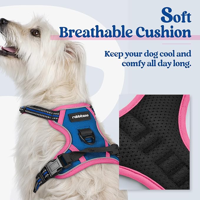 rabbitgoo Dog Harness No Pull with 2 Leash Clips, Adjustable Soft Padded, Reflective Oxford No Choke Pet Vest with Easy Control Handle for Large Dogs, Blue & Hot Pink, XS