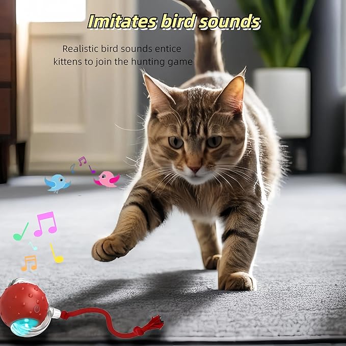 Interactive Cat Toy Ball – Automatic Electric Rolling Ball with Chirping Bird Sounds, Motion-Activated Indoor Toy for Kittens and Cats, Fun Exercise Play (Red)