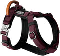 MADE TO ROAM Premium Explorer Harness - Y-Shaped Dog Harness with Adjustable Durable Nylon, Soft Padding, Metal Buckles and Leather Handle for Small, Medium, Large Dogs (Vermont Weekends, Size 4)