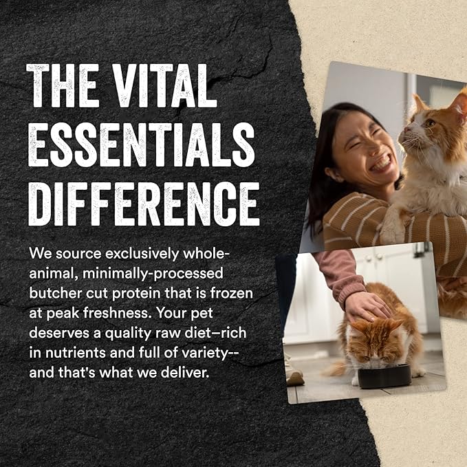 Vital Essentials Freeze Dried Raw Cat Treats, Chicken Giblets, 1 oz (Pack of 2)