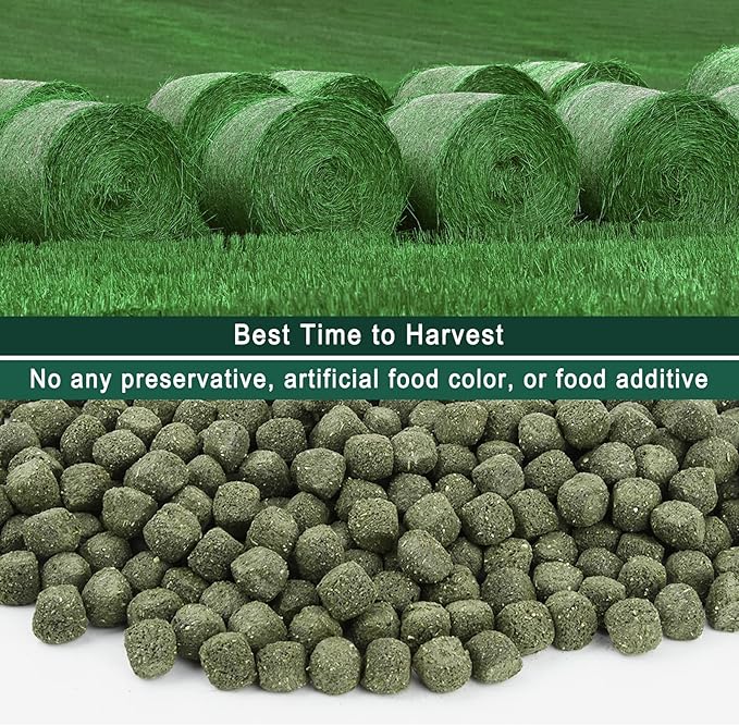 Timothy Hay Cubes 40 oz (4 * 10 oz) with Small Size - Timothy Grass Pellets for Tortoises Rabbits Guinea Pig Chinchilla