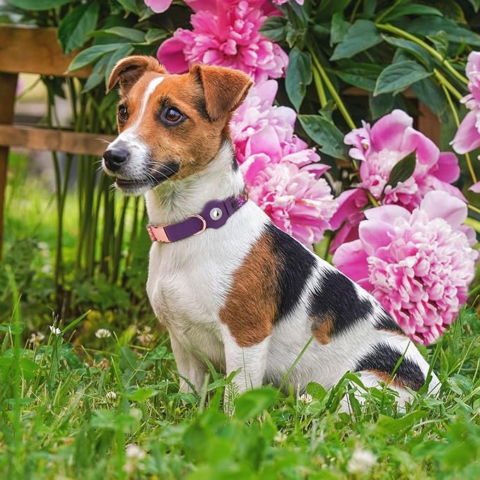 AirTag Dog Collar for Small Medium Large Breed - Adjustable Cute Pattern Dog Collar with Airtag Holder - Soft Leather Tracker GPS Apple Air Tag Pet Collars (Small, 12"-15" Neck Fit, Peonies)