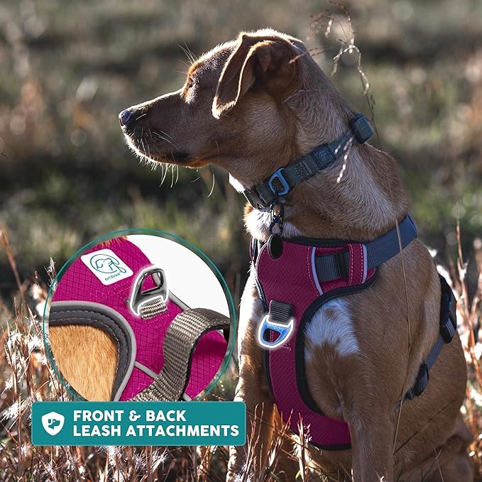 Embark Adventure Dog Harness, Reflective Trim No Pull Dog Harness for Large Dogs - Military Grade Nylon, Front Clip with Gel Lined Handle.