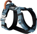 MADE TO ROAM Premium Explorer Harness - Y-Shaped Dog Harness with Adjustable Durable Nylon, Soft Padding, Metal Buckles and Leather Handle for Small, Medium, Large Dogs (California Horizon, Size 7)