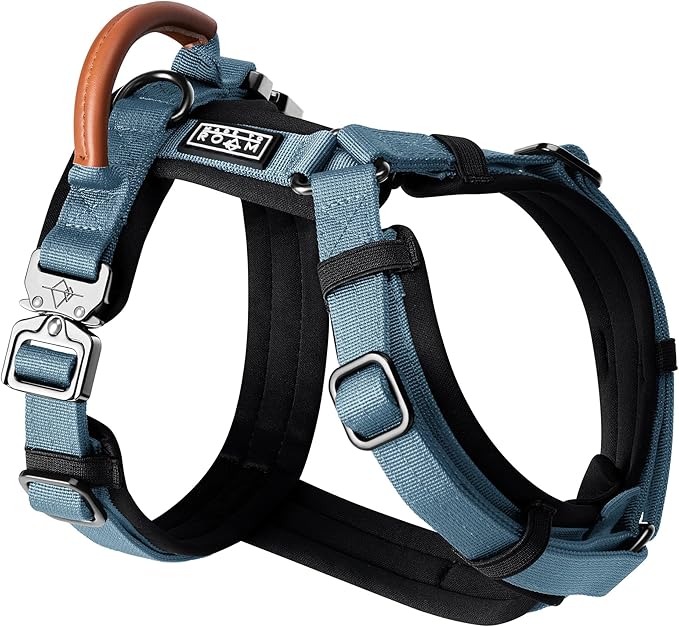 MADE TO ROAM Premium Explorer Harness - Y-Shaped Dog Harness with Adjustable Durable Nylon, Soft Padding, Metal Buckles and Leather Handle for Small, Medium, Large Dogs (California Horizon, Size 5)