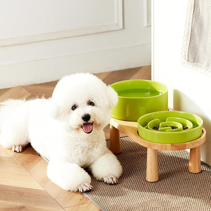 Ceramic Slow Feeder and Water Bowl Set for Medium and Large Dogs, Ceramic Dog Bowls Elevated with Wooden Stand, 2.0 Cups Dog Slow Feeder(30oz) and 70oz Water Bowl Set, Green
