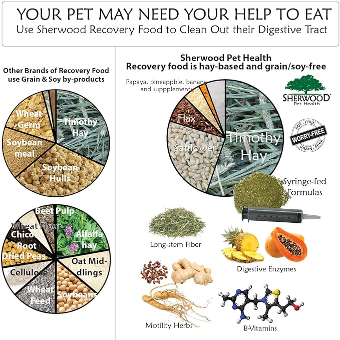 Pet Guinea Pig Emergency Kit with Timothy Recovery Food (Large Emergency Kit)