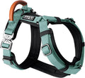 MADE TO ROAM Premium Explorer Harness - Y-Shaped Dog Harness with Adjustable Durable Nylon, Soft Padding, Metal Buckles and Leather Handle for Small, Medium, Large Dogs (Florida Seaside, Size 5)