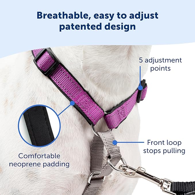 PetSafe 3 in 1 Dog Harness - No Pull Solution for Dogs - Reflective Dog Harness - Front D-Ring Clip Helps Stop Pulling - Comfortable Padded Straps - Top Handle Enhances Control - Plum - Small