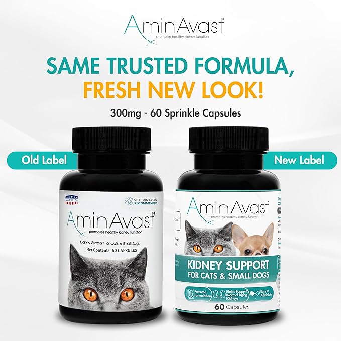 AminAvast Small Dogs & Cat Kidney Support - Promotes Healthy Kidney Support in Cats & Small Dogs - 300mg, 60 Capsule
