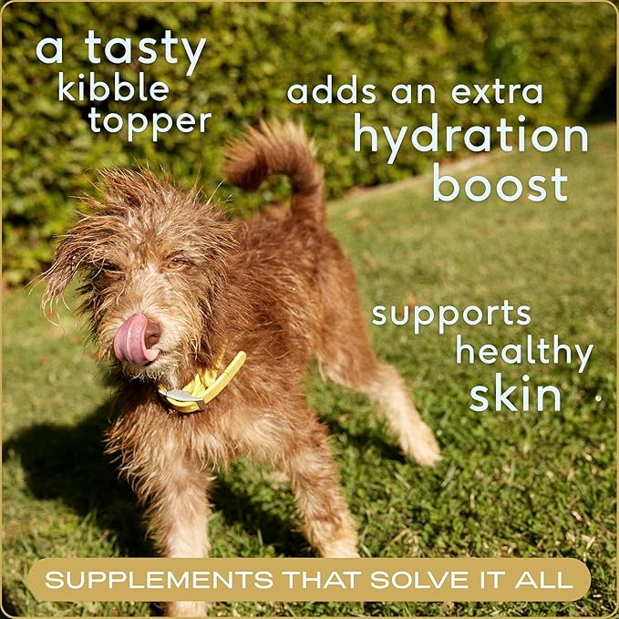 Native Pet Bone Broth for Dogs - Made with Real Beef Bone Broth, Dog Food Toppers for Picky Eaters - Provides Extra Hydration & Nutrition for Joint Strength, Immunity & Heart Health-48 Scoops