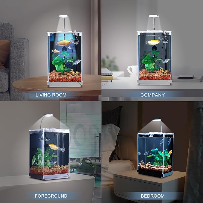 Wonderfactory 3 Gallon Aquarium Fish Tank, Self-Cleaning Betta Tank with Filter and Light, Starter kit with Rocks, Plants & Cleaning Tools, Suitable for Beginners and Hobbyists