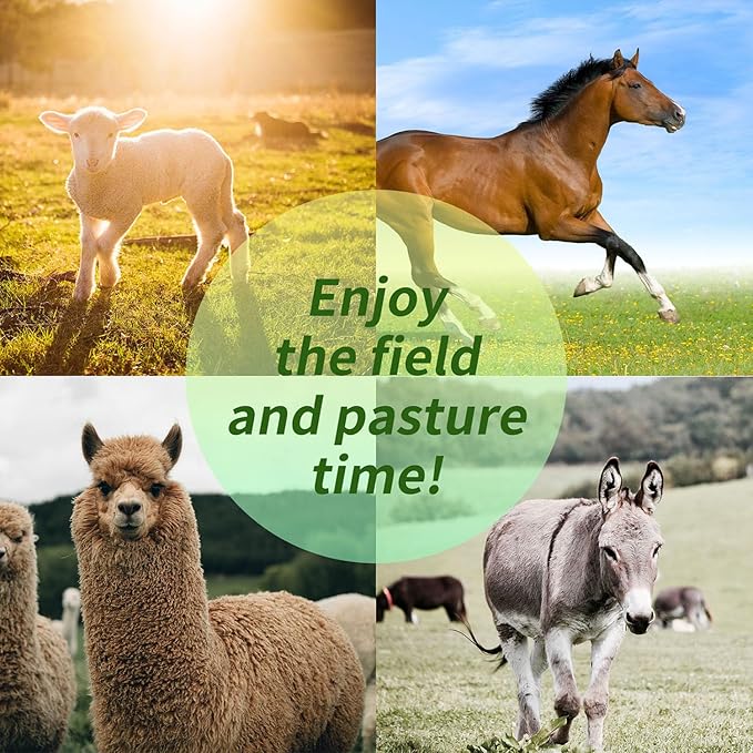 17-Inch Equine Ball for Play & Training - Anti-Burst, Mega Horse Soccer Ball for Goat, Donkey