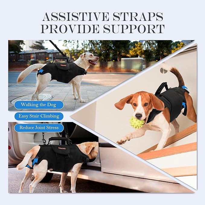 Dog Lift Harness, Full Body Support with Adjustable Control Handle for Large Senior Dogs, Post-Surgery Recovery & Joint Problems (Oxford Cloth, XL)