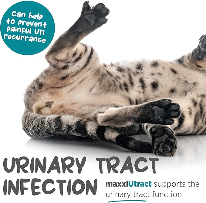 maxxipaws maxxiUtract Urinary & Bladder Support - Powder Supplement for Cats, 3.2oz