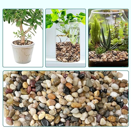 2.5 lbs Pebbles for Indoor Plants, Vase, Succulent, 3/8" Gravel for Plants, Pots Indoor, Bamboo Rocks for Bamboo Plants, Decorative Small River Rock, Highly Polished