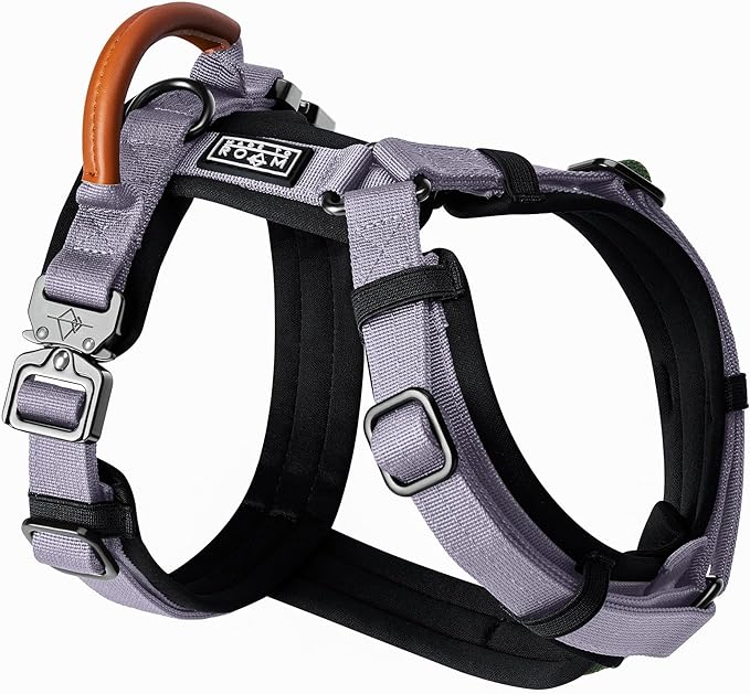 MADE TO ROAM Premium Explorer Harness - Y-Shaped Dog Harness with Adjustable Durable Nylon, Soft Padding, Metal Buckles and Leather Handle for Small, Medium, Large Dogs (Montana Moonrise, Size 2)