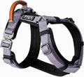 MADE TO ROAM Premium Explorer Harness - Y-Shaped Dog Harness with Adjustable Durable Nylon, Soft Padding, Metal Buckles and Leather Handle for Small, Medium, Large Dogs (Montana Moonrise, Size 4)