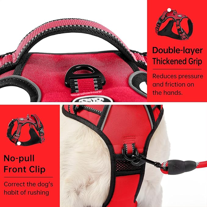 IVY&LANE No Pull Dog Harness for Medium Dogs, Dog Vest Harness with Leash, Safety Belt and Storage Strap, Fully Adjustable, 360 Reflective Strip, Soft Handle (Red, M)