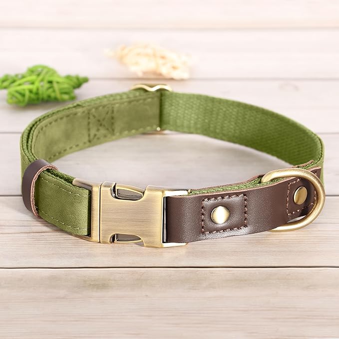 Didog Soft PU Leather Dog Collars for Small Dogs,Classic Adjustable Dog Collars with Quick Release Metal Buckle,Easy Clean and Comfortable with Nylon Lining,Olive Green,S Neck 10-15"
