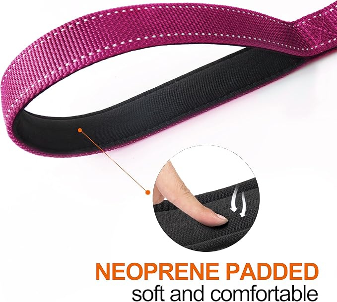 TwoEar 4FT 1IN Strong Rose Dog Leash with 2 Padded Handles, Traffic Handle Extra Control, Comfortable Soft Dual Handle, Auto Lock Hook, Reflective Walking Lead for Small Medium and Large Dogs
