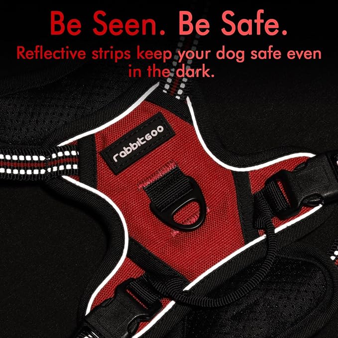 rabbitgoo Dog Harness No Pull with 2 Leash Clips, Adjustable Soft Padded, Reflective Oxford No Choke Pet Vest with Easy Control Handle for Puppy, Red,XS