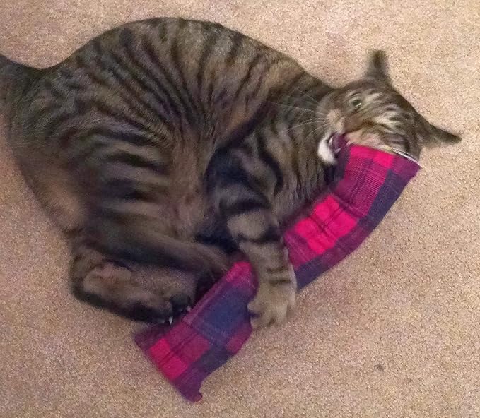 15" Cat Kicker Toy with Refillable Catnip Pocket (Red Flannel) - Filled with 1 oz Premium Canadian Catnip