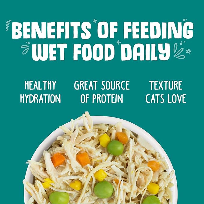 Weruva Classic Cat Food, Funky Chunky Chicken Soup with Pumpkin in Chicken Soup, 5.5oz Can (Pack of 24)