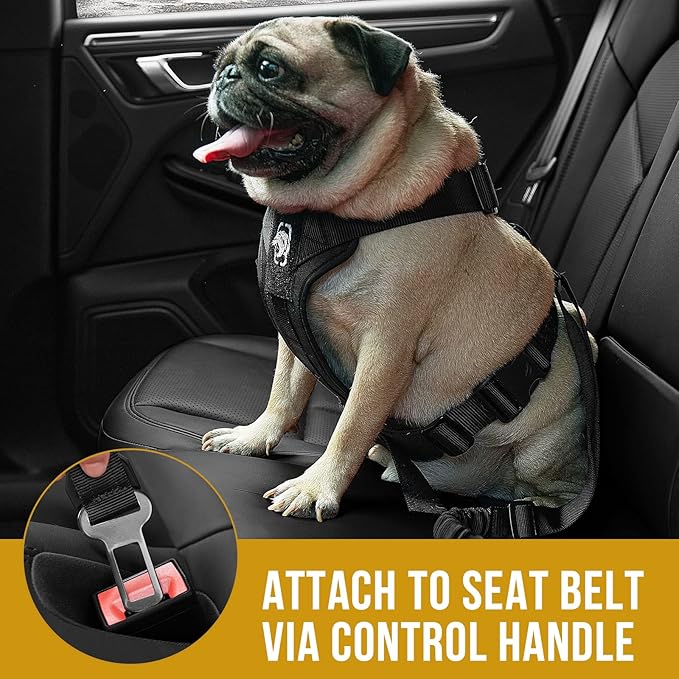 OneTigris Dog Safety Vest Harness, REX Car Use Dog Harness Adjustable Pet Harness with Leash for Medium Large Dogs(Black,L)
